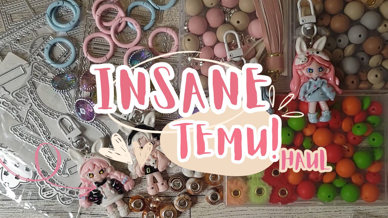 Insane Temu Haul